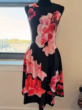 Calvin Klein Floral Fit & Flare Midi Dress in Black and Pink